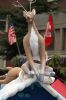 20041121_6553.jpg