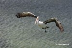 20080222_1336.jpg