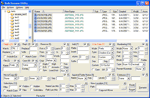 Bulk Renaming Utility Screenshot